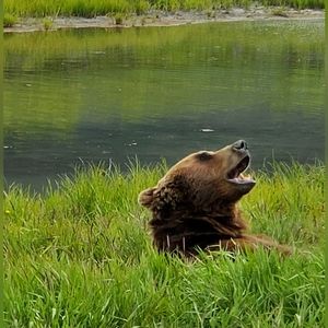 Meet your Posher, Justin